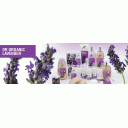 Lavanda - dabas dārgums